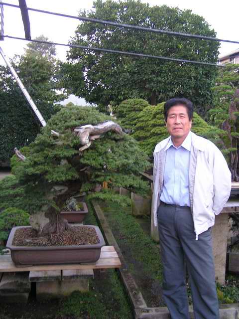 Akademia Bonsai