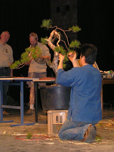 Akademia Bonsai