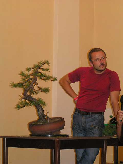 Polska Asocjacja Bonsai